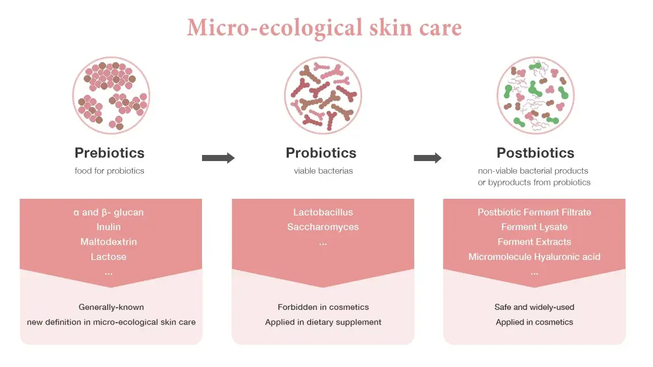 Prebiotyki w kosmetykach to pokarm dla probiotyków, które są żywymi bakteriami. Postbiotyki to produkty uboczne, bezpieczne w kosmetykach.